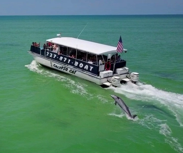 4 Hour Egmont Key Island Tour With Dolphins & Snorkeling