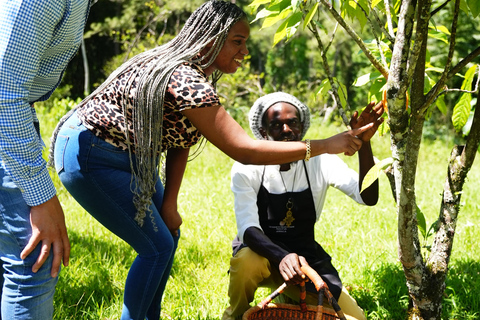 Croydon in the Mountains - Eco Farm Tour with Lunch