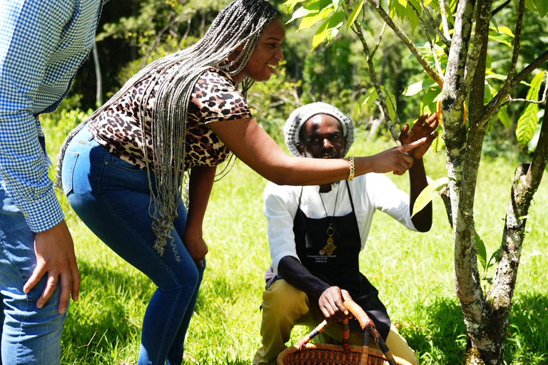 Croydon in the Mountains - Eco Farm Tour with Lunch