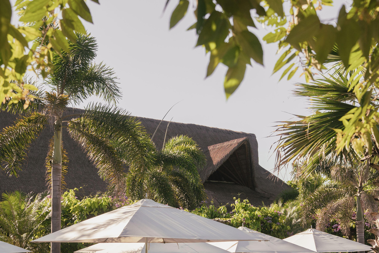 Cartagena Makani Luxury Beach Club: Premium Day Pass & Lunch