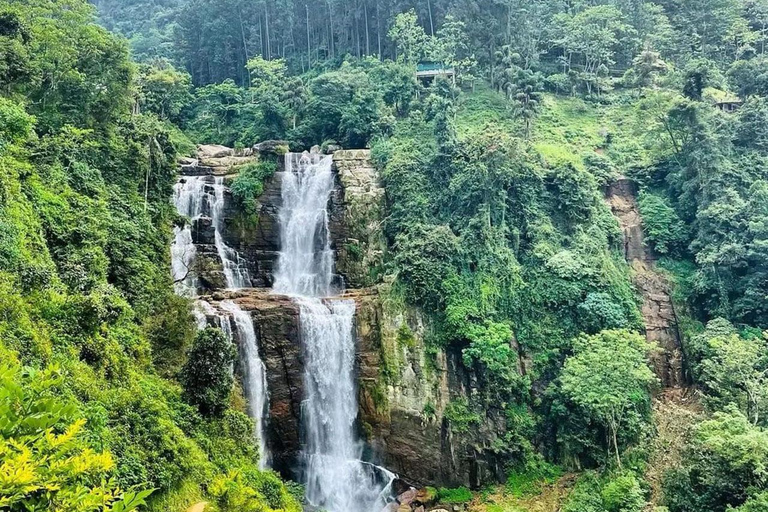 Kandy till Nuwaraeliya dagstur med Tuk Tuk