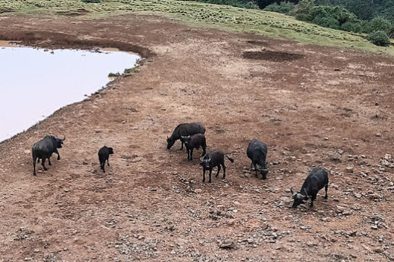 内罗毕：3日阿伯达雷国家公园经济型Safari内罗毕：3天阿伯达雷国家公园经济型Safari之旅