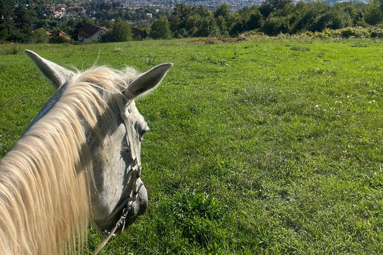 Sarajevo: Scenic Horseback Ride with Optional Lunch
