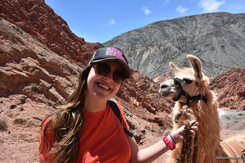 Purmamarca: Hiking with Llamas through multicolored mountains