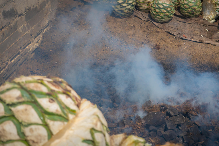 Oaxaca: Sustainable Mezcal Tour at an Award-Winning Family Distillery