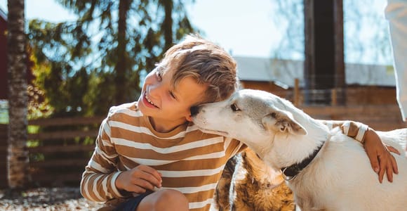 Rovaniemi: Husky Farm Visit
