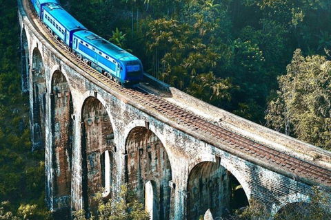 Ella: Ella Day Tour NineArch Bridge with Expert Female Guide Ella tour from Mirissa, Weligama, Tangalle