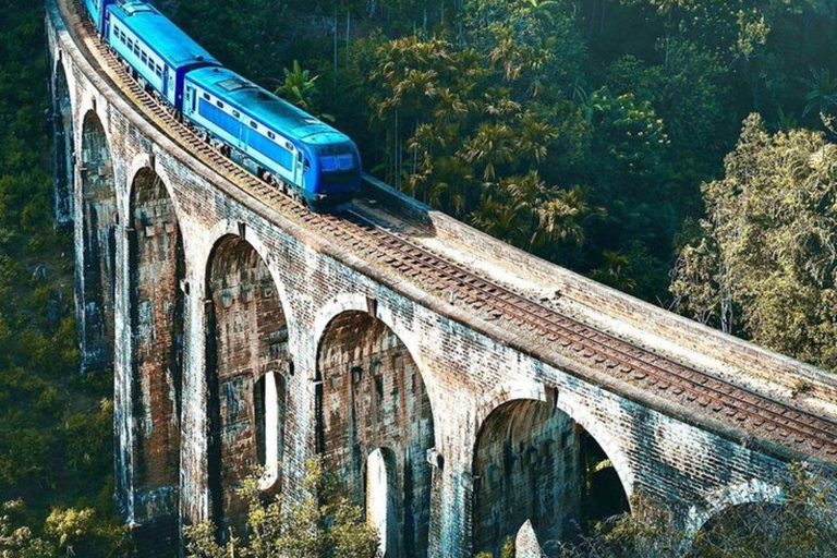 Ella: Ella Day Tour NineArch Bridge with Expert Female Guide Ella tour from Colombo, Negombo, Mt lavinia, Kalutara