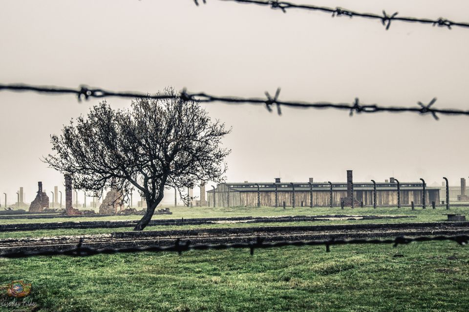 Auschwitz-Birkenau: Skip-the-Line Entry Ticket & Guided Tour | GetYourGuide