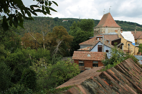 Brașov: Slow Travel Photography Tour in Saxon Villages