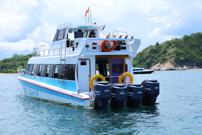 Labuan Bajo: Komodo Islands Speedboat Day Trip with Pickup Komodo Islands Speedboat Day Trip with Pickup