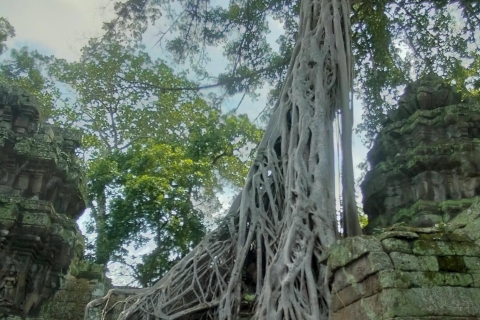 Excursión Privada Definitiva a Angkor Wat al Amanecer por los 4 Mejores TemplosLas mejores visitas privadas a Angkor Wat al amanecer en los 4 mejores templos