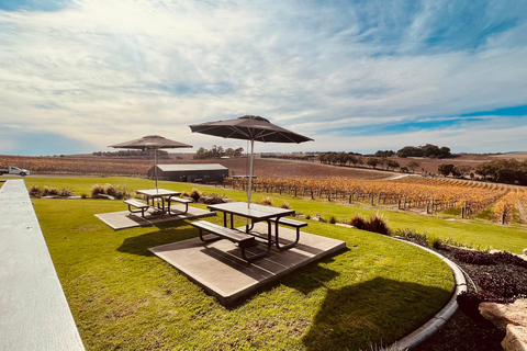 Tour del vino della McLaren Vale e del centro storico di Hahndorf