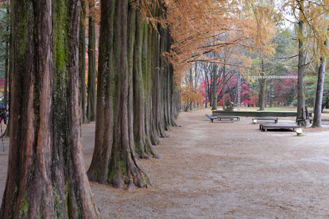 Alpaca World+Nami Island/Guia particular