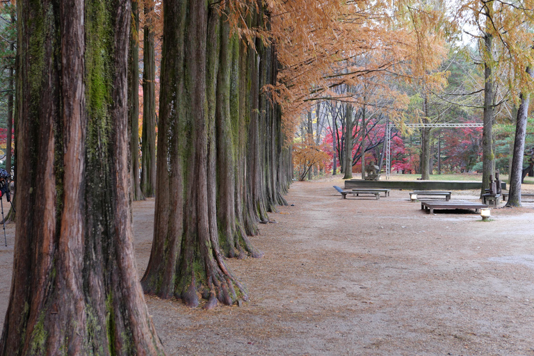 Nami island+Rail Bike+Garden of morning calm_Private Guide