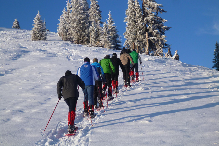 Caminhada com raquetes de neve em Allgäu