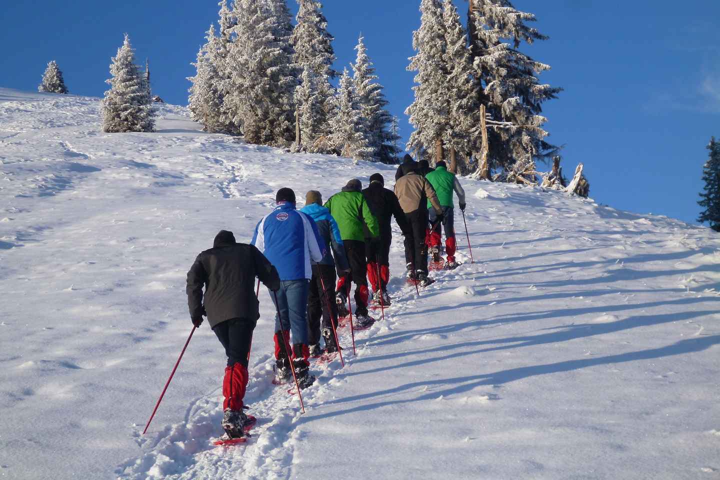Snowshoe hike in the Allgäu