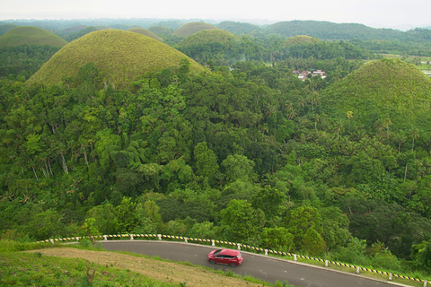 Tour privato di Bohol: Chocolate Hills, tarsi e fiume LobocTour privato a Bohol: Chocolate Hills, tarsi e fiume Loboc