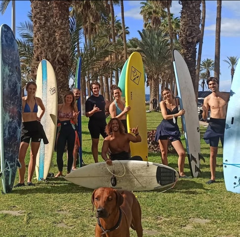 Tenerife: Paddle Surf Experience in Playa de las Américas