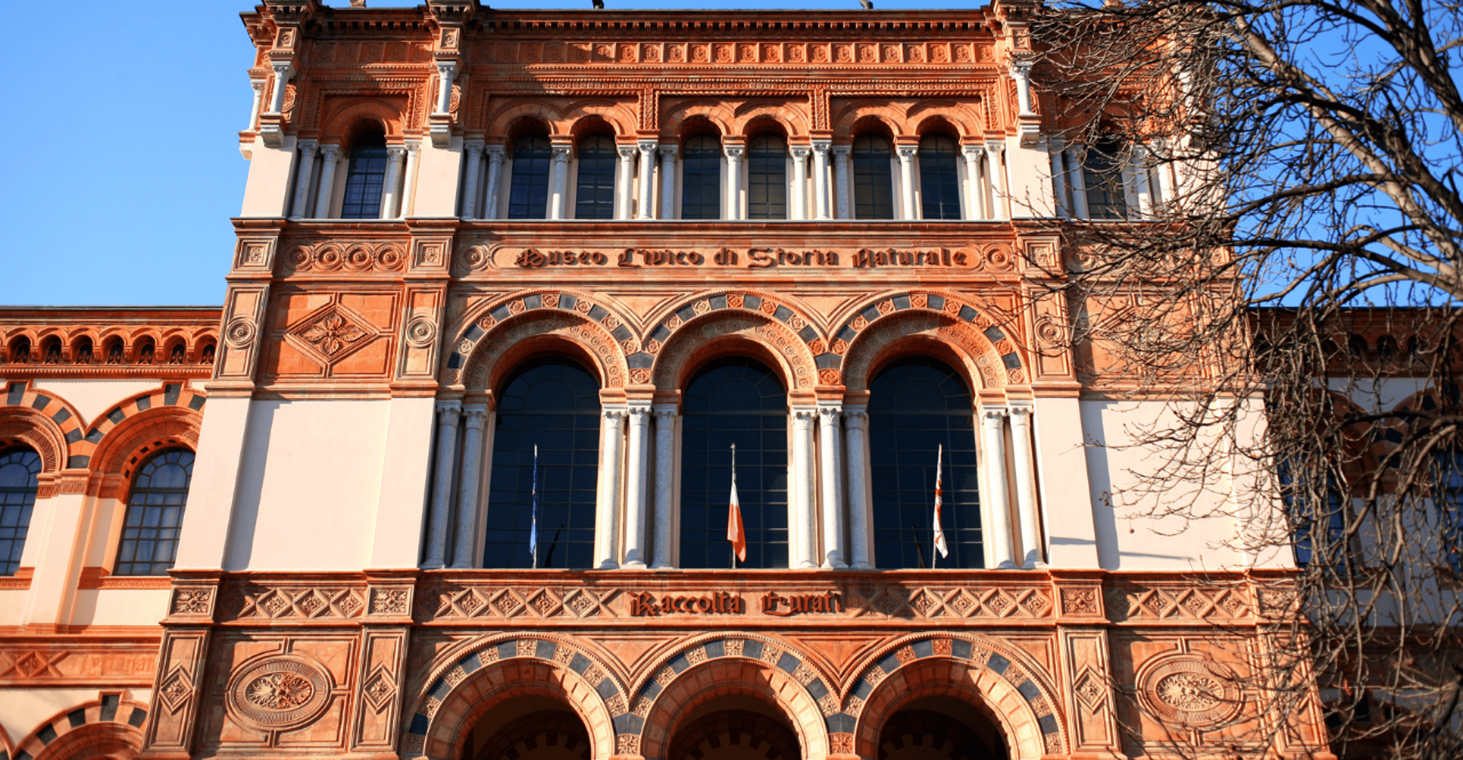 Milan: Natural History Museum Entry Ticket & Audio Guide