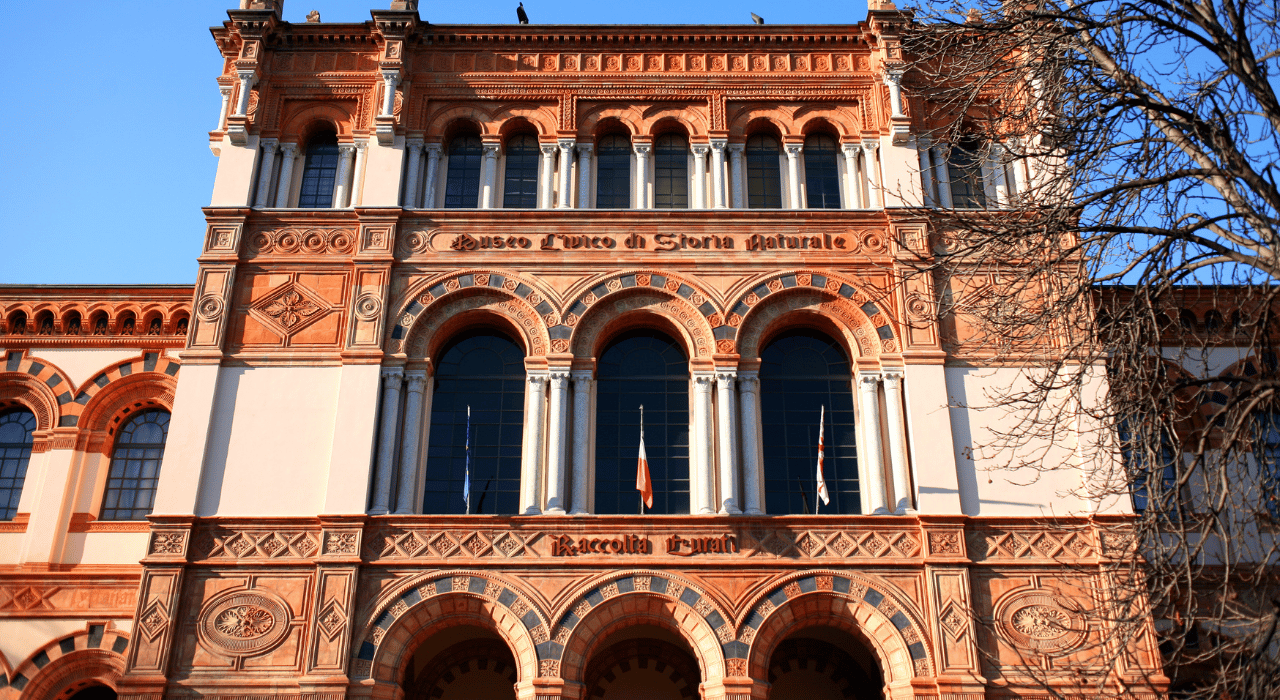 Mailand: Natural History Museum Entry Ticket & Audioguide Mailand: Natural History Museum Entry Ticket & Audioguide