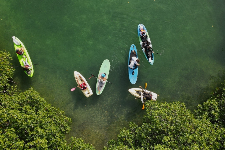 Explorando Cancún: Excursión guiada en kayak por los ManglaresExcursión al atardecer: Excursión guiada en kayak por los Manglares