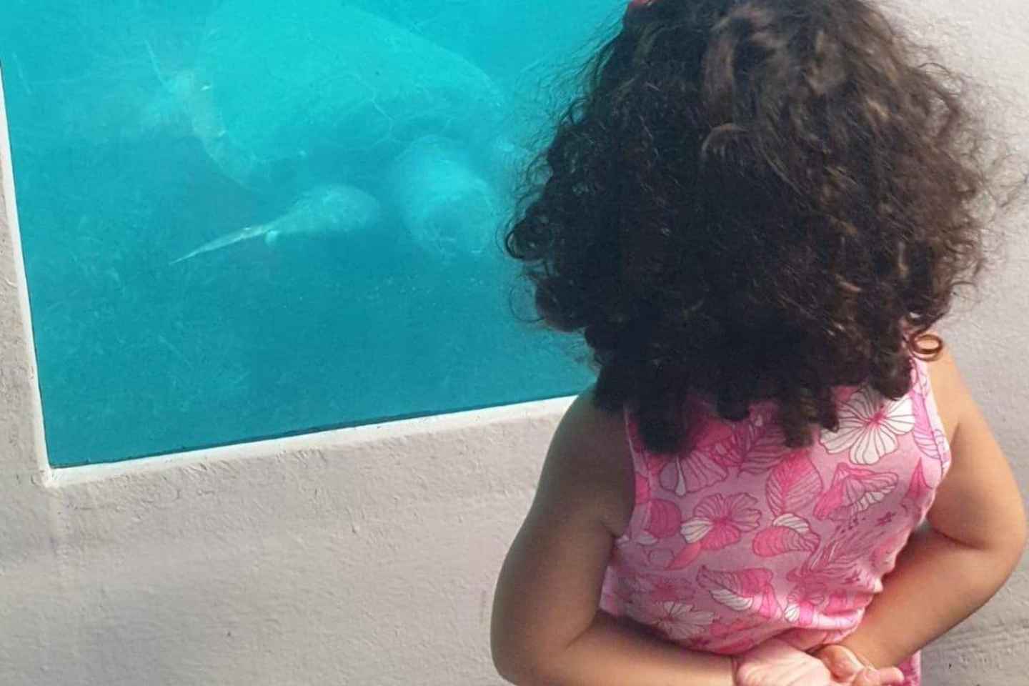 Paphos: Sunset Cruise, Turtle Watching, & Unlimited Drinks