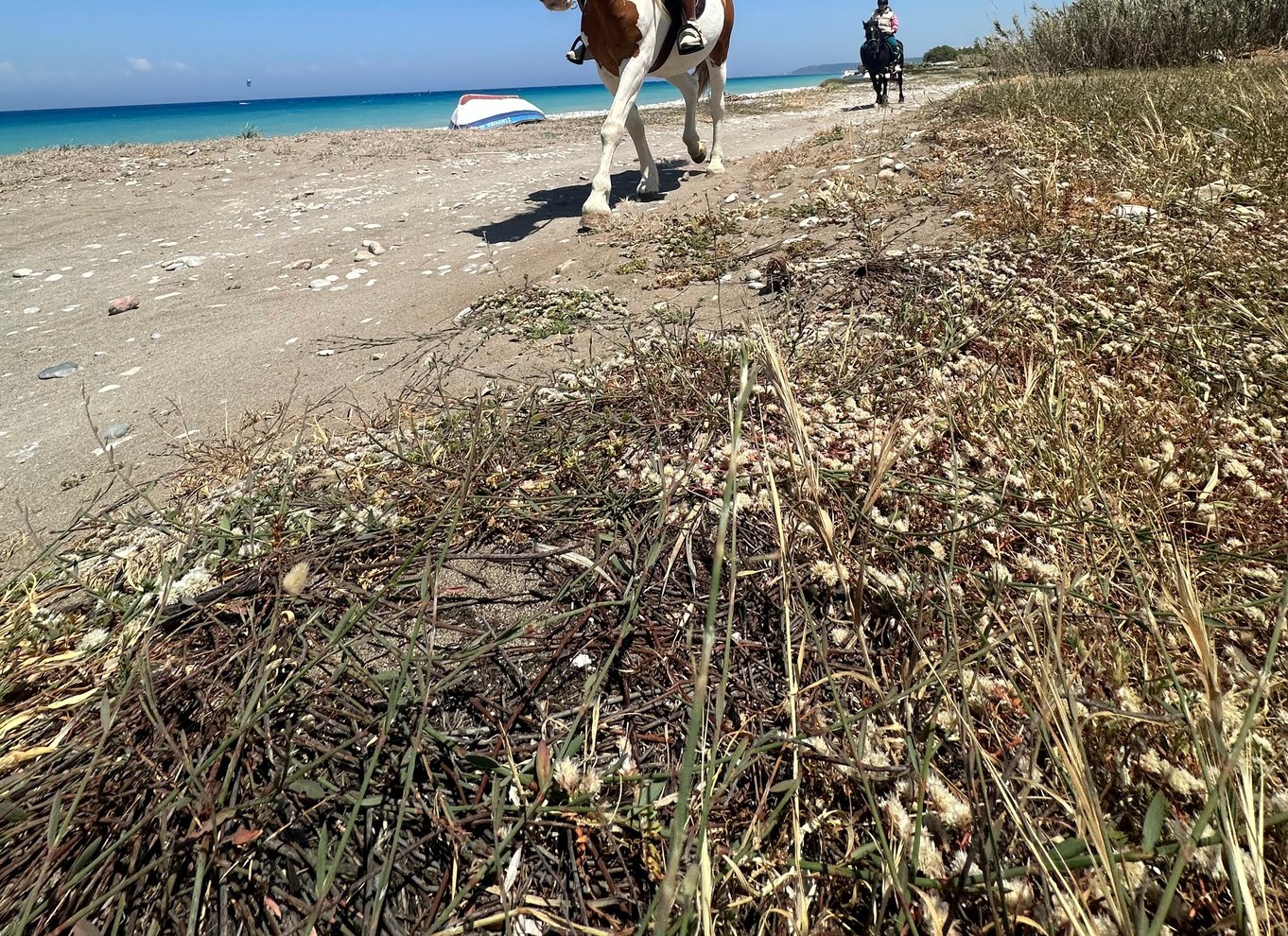 Rhodos: Ridetur på hesteryg med digitale fotos