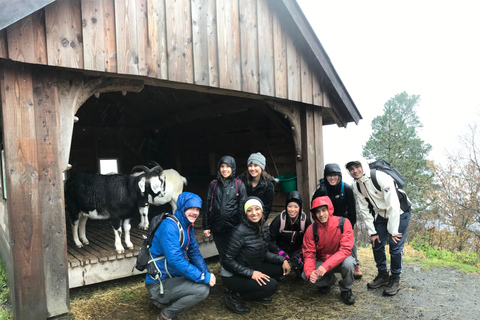 Hiking & Friends: A Social Adventure in Bergen