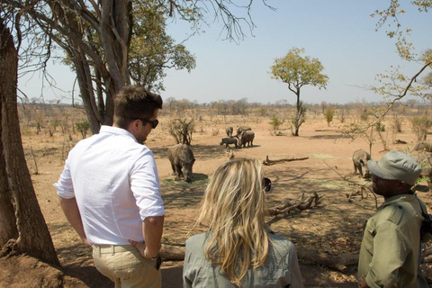 Livingstone: Rhino Game Drive & Devil's Pool Tour (High Tea)
