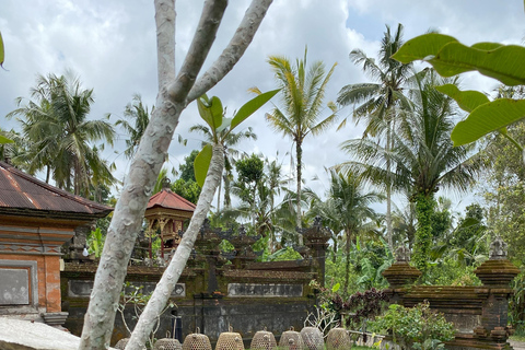 Ubud : PRIVATE Bike Tour inside Rice Field Ubud Countryside Sharing Group