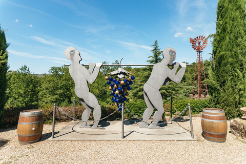 Florence : visite des vignobles du Chianti avec dégustationVisite en groupe en anglais