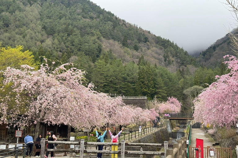 Tokyo: 3-Day Nikko, Tokyo, and Mt. Fuji SightSeeing Tour