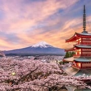 From Tokyo: Mount Fuji Private Tour with Guide & Pickup From Tokyo: Mount Fuji Private Tour with Guide & Pickup