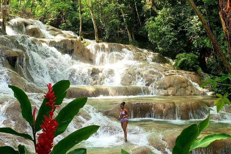 Visite privée de la rivière Dunns et du trou bleu au départ de Montego Bay