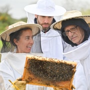 Ponta Delgada: Bienenstock-Führung