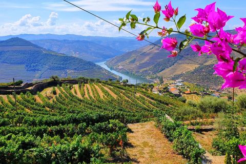 Valle del Douro: vino, pranzo e crociera da Porto