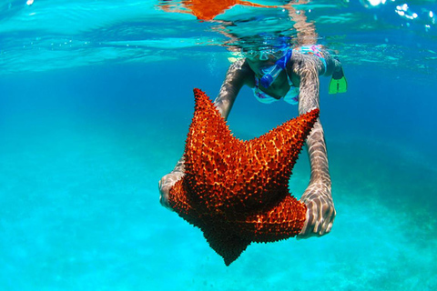 Aventura en la Isla Saona - ¡Te esperan aguas cristalinas y arenas blancas!