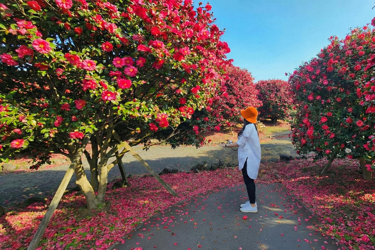 Jeju Tour | Jungmun & Seogwipo Pick-up | UNESCO Highlights