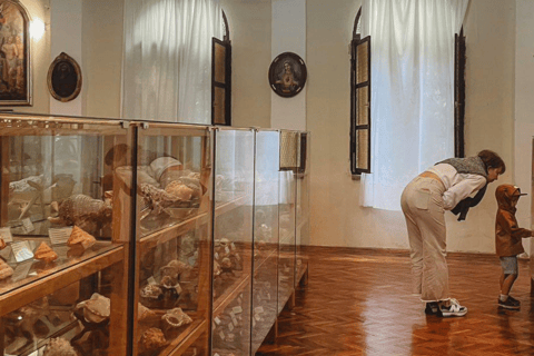 Cavtat: Shell Museum Entry Ticket with Guided Tour Option