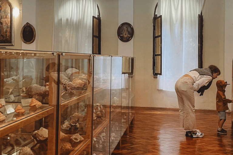 Cavtat: Shell Museum Entry Ticket with Guided Tour Option