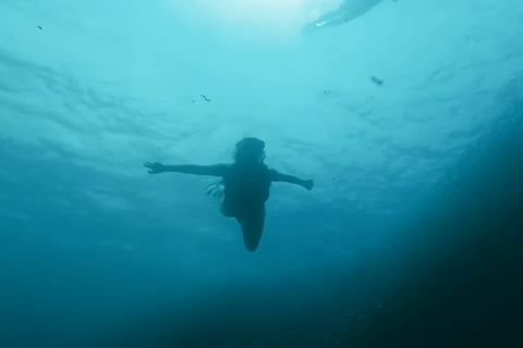 Cebu: Przygoda z nurkowaniem z rekinami wielorybimi w Oslob i Moalboal