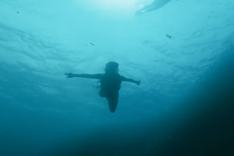 Cebu: Przygoda z nurkowaniem z rekinami wielorybimi w Oslob i Moalboal