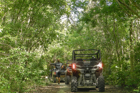 Playa Del Carmen: Cenote &amp; Maya Village Tour med Buggy