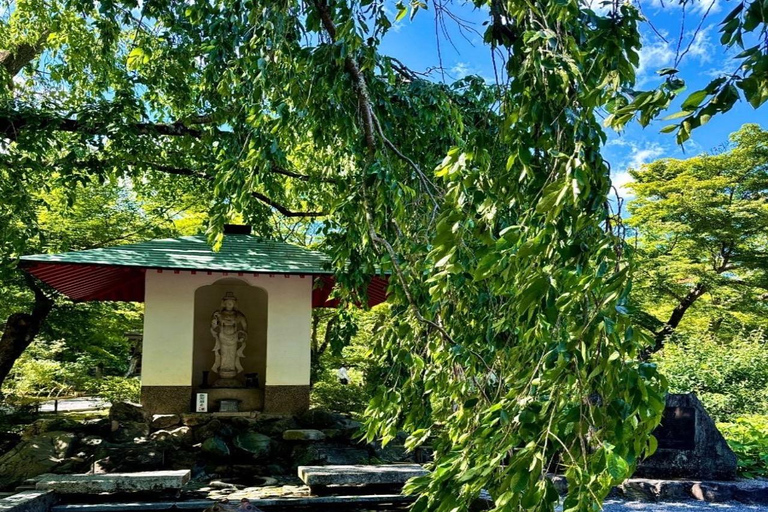 From Osaka: Hiroshima Peace Memorial Museum & Castle Tour