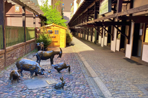 Wrocław: Old Town Private Walking Tour with Viewpoint Entry Wrocław: Old Town Private Walking Tour with Viewpoint Entry