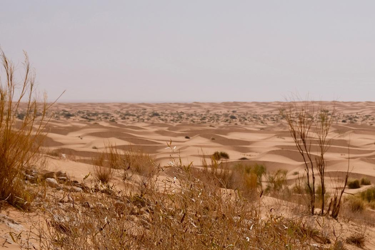 3 giorni di tour del Sahara in quad