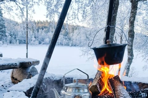 Oslo: Winter Forest Food Tour, Campfire Meal by a Local Chef