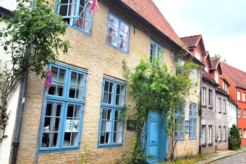 Flensburg: Passeggiata piacevole nel centro storico e nel porto