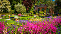 Woodside, Filoli Historic House and Garden Entry Ticket - Housity